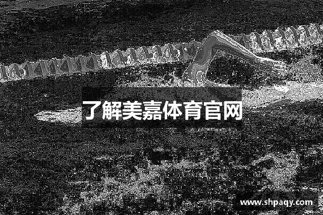了解美嘉体育官网
